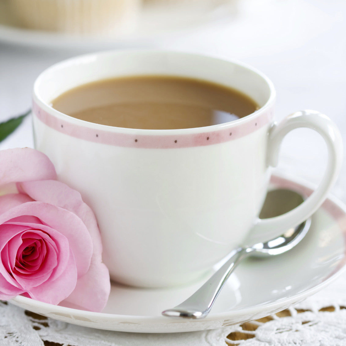 Pink Stripe Porcelain Cup